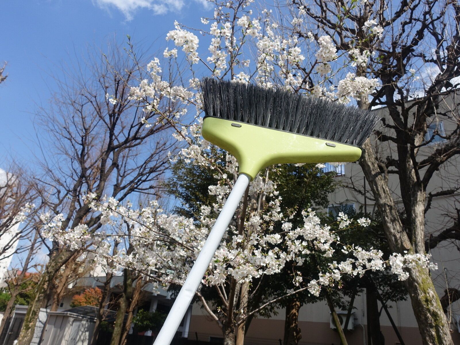 「春の大掃除」って意味あるの？掃除のプロ→絶対にやったほうがいいです