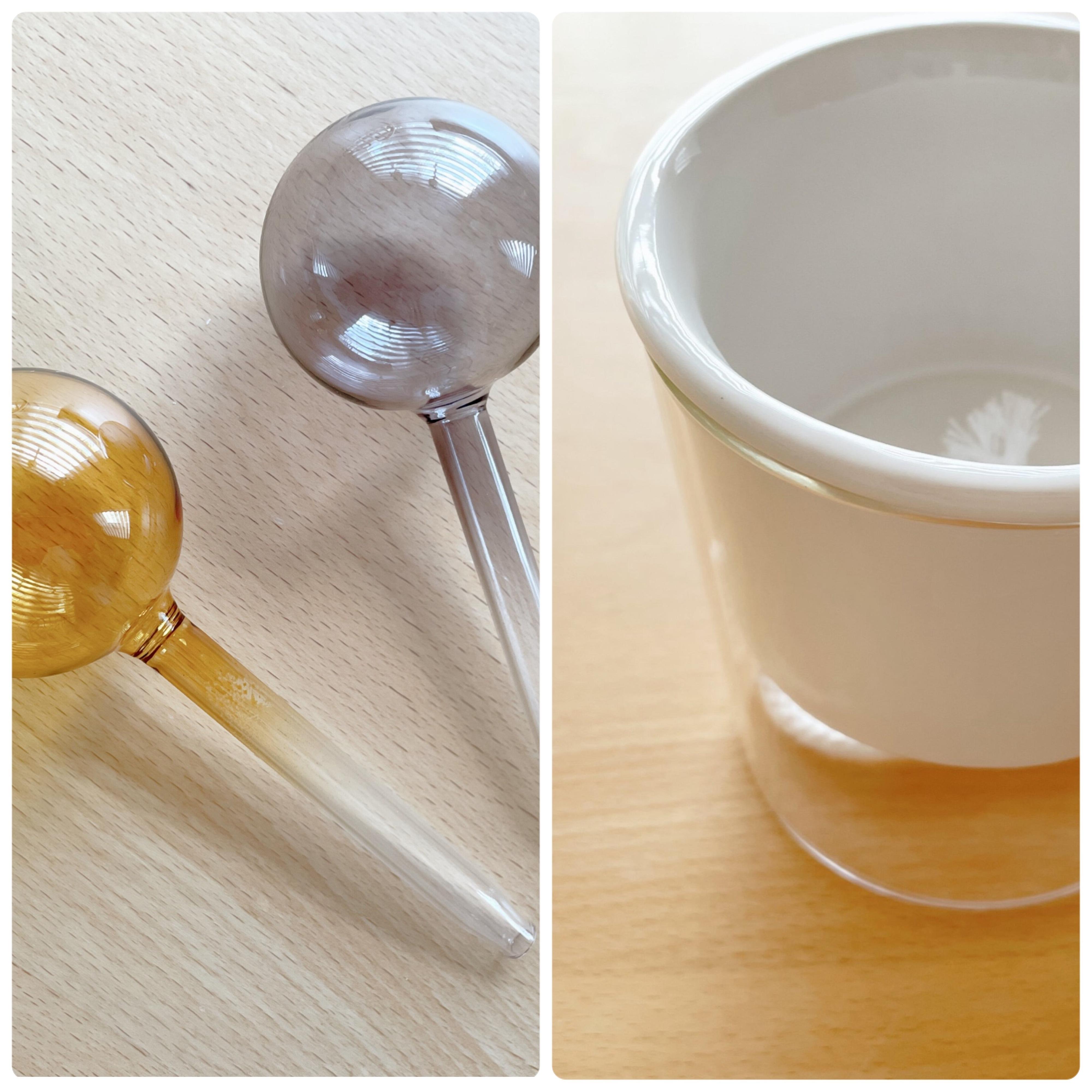 【3COINS】ズボラさんにぴったり！グリーンのある暮らしを楽にしてくれるアイテム2つ