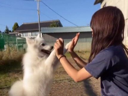 二人とも一生幸せでいてほしい！「親友」な飼い主さんと愛犬のかけがえのない日々に10万件のいいね