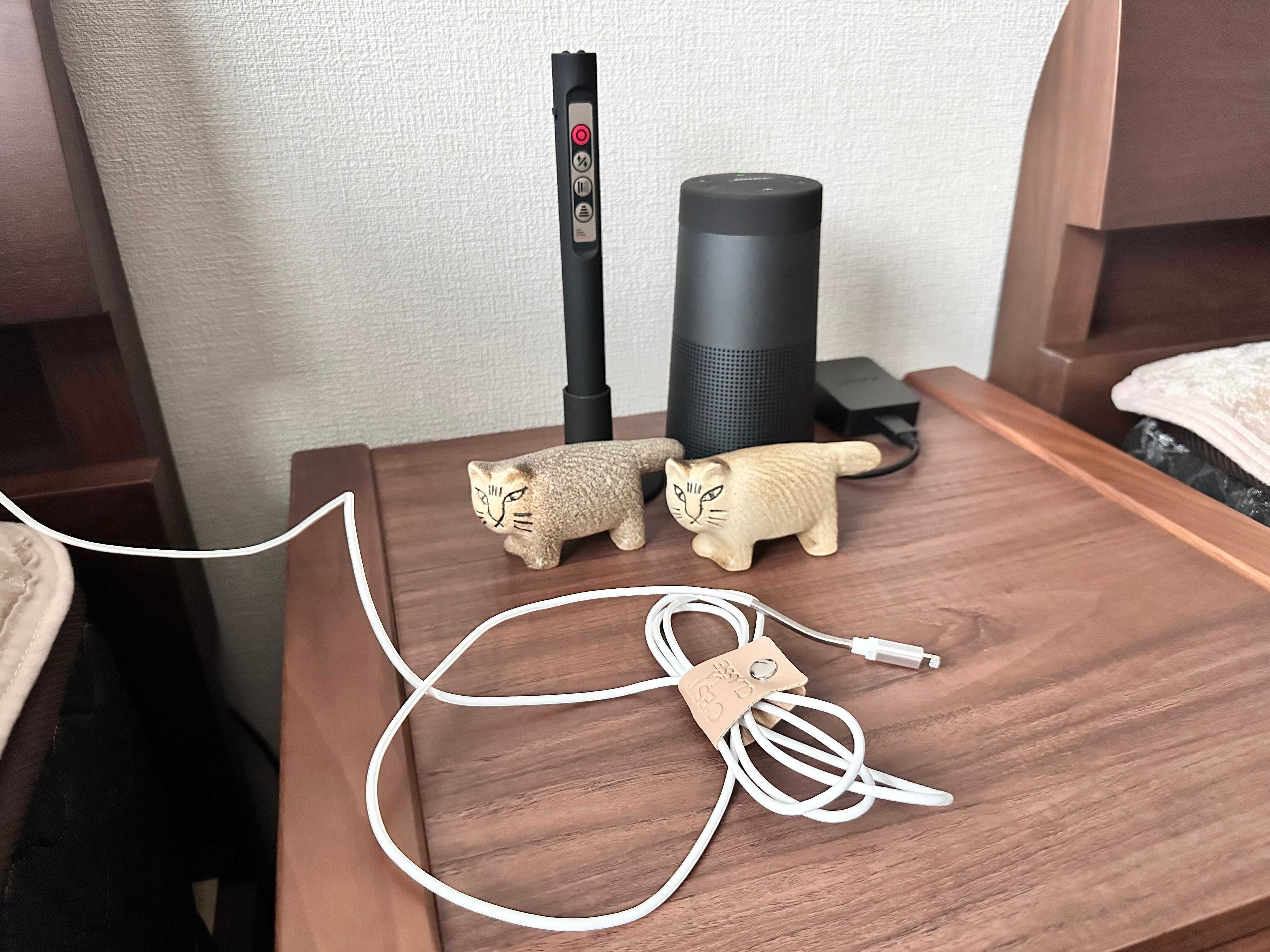 【キャンドゥ】シンプルおしゃれな高見えケーブルタイですっきりひとまとめ！