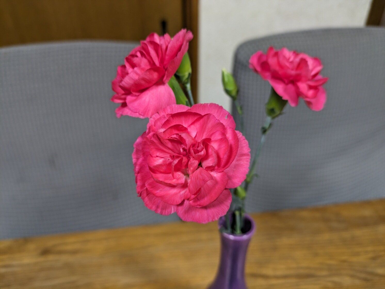 【子育て】生きづらい子の進路