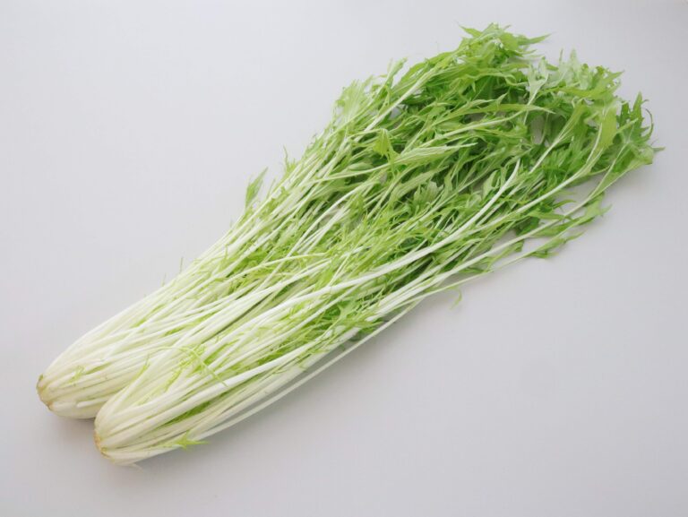 混ぜるだけでめちゃウマッ！旬の水菜で作る「水菜と梅の混ぜごはん」
