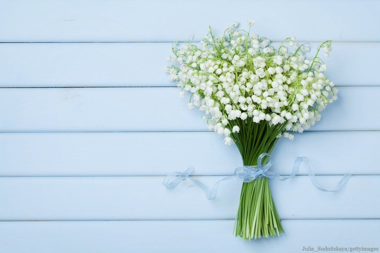 福々ちえさん描き下ろし！収入に左右されない幸せな暮らし方