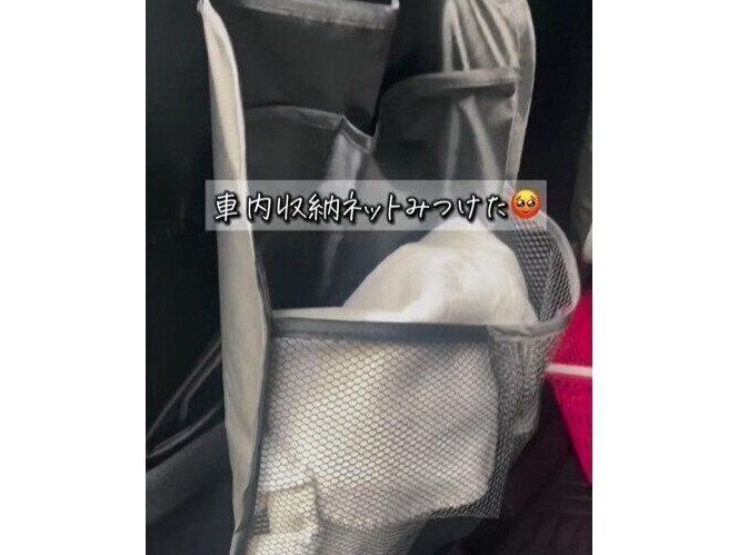 どんどん売れてる！【ダイソー】「迷わず2個買い」「超絶すっきり」車内収納グッズ
