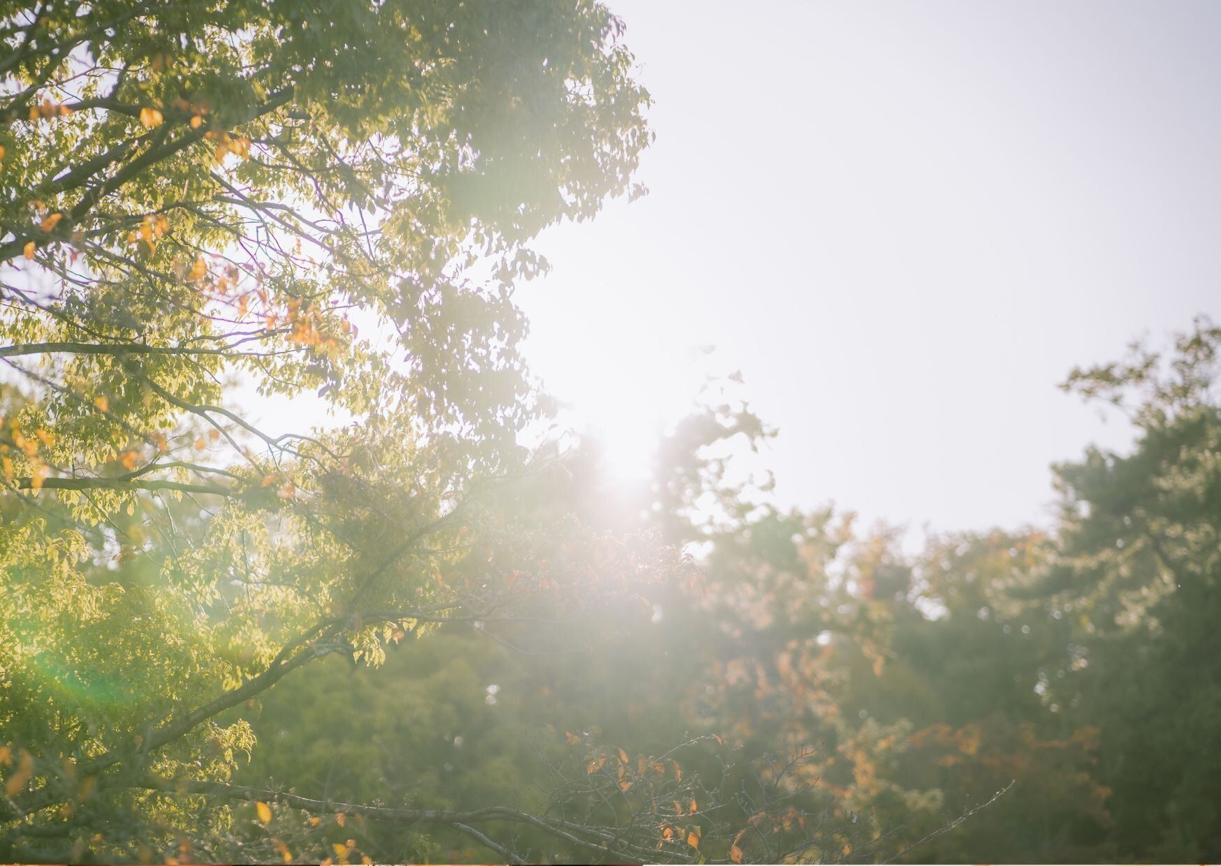 日焼けしないのに影響大の紫外線がある!?気象予報士が気をつけている紫外線の種類とは