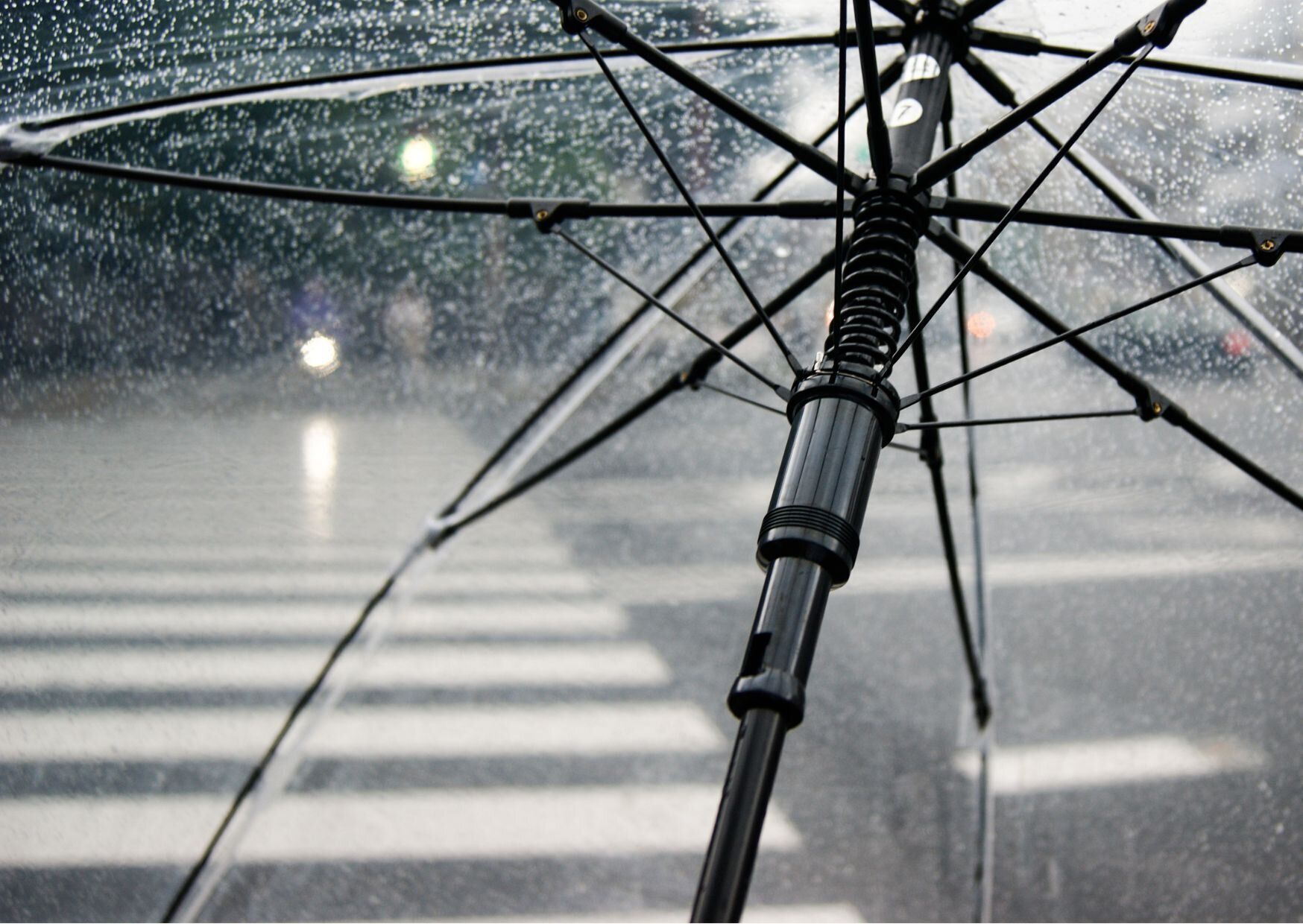 今年の梅雨はどうなる？なぜ事前に予想ができるの??気になる傾向を気象予報士が解説