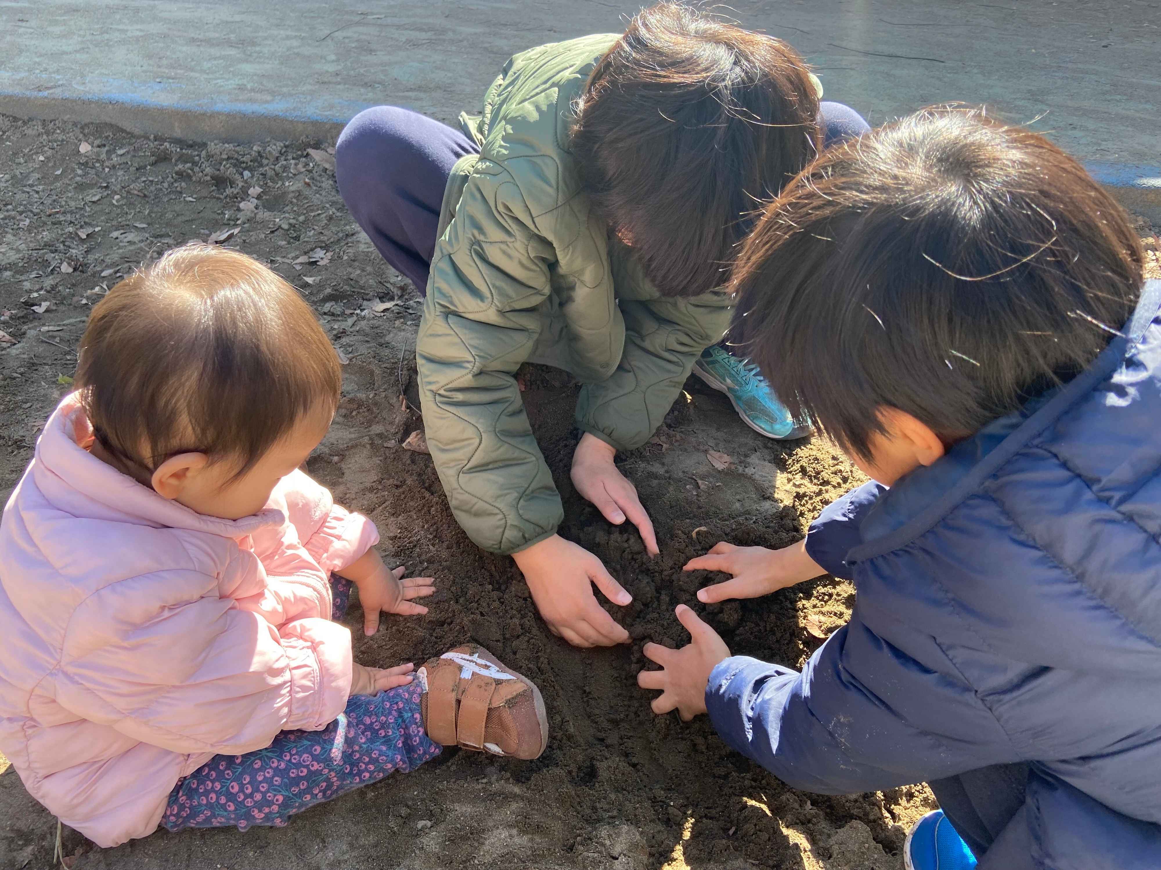 【ズボラミニマリスト】暮らしやすさを求めて手放した3つの理想