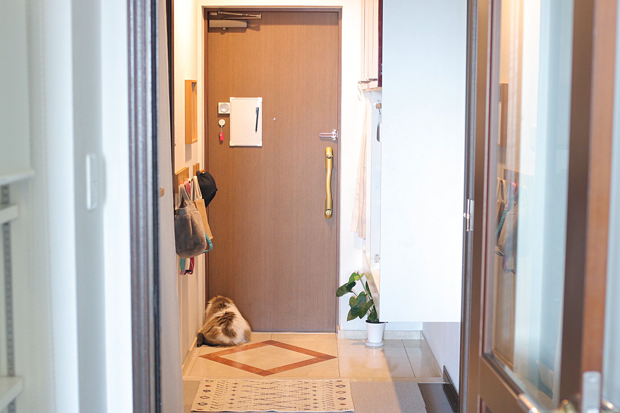 【玄関】狭い玄関をすっきり使うコツ！「出す」「しまう」のメリハリをつけて快適収納