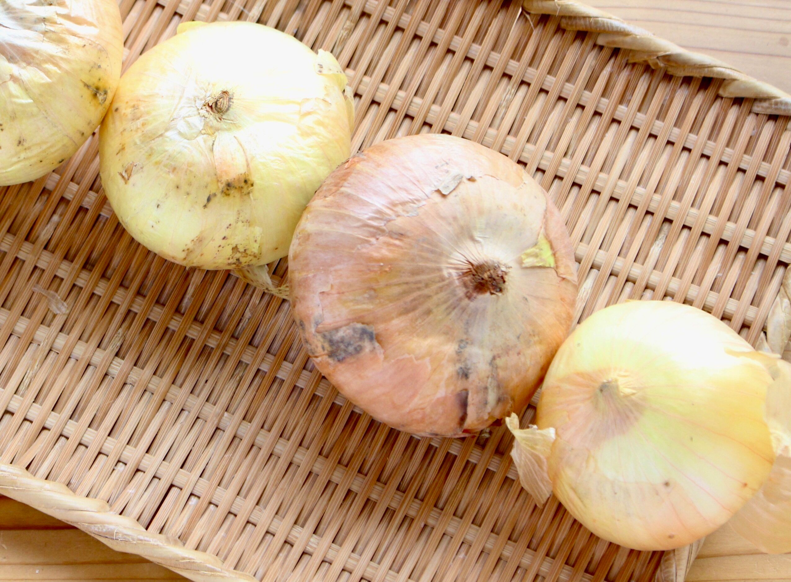 【レシピ】大量消費！今こそ食べたい新玉ねぎのおかず３選