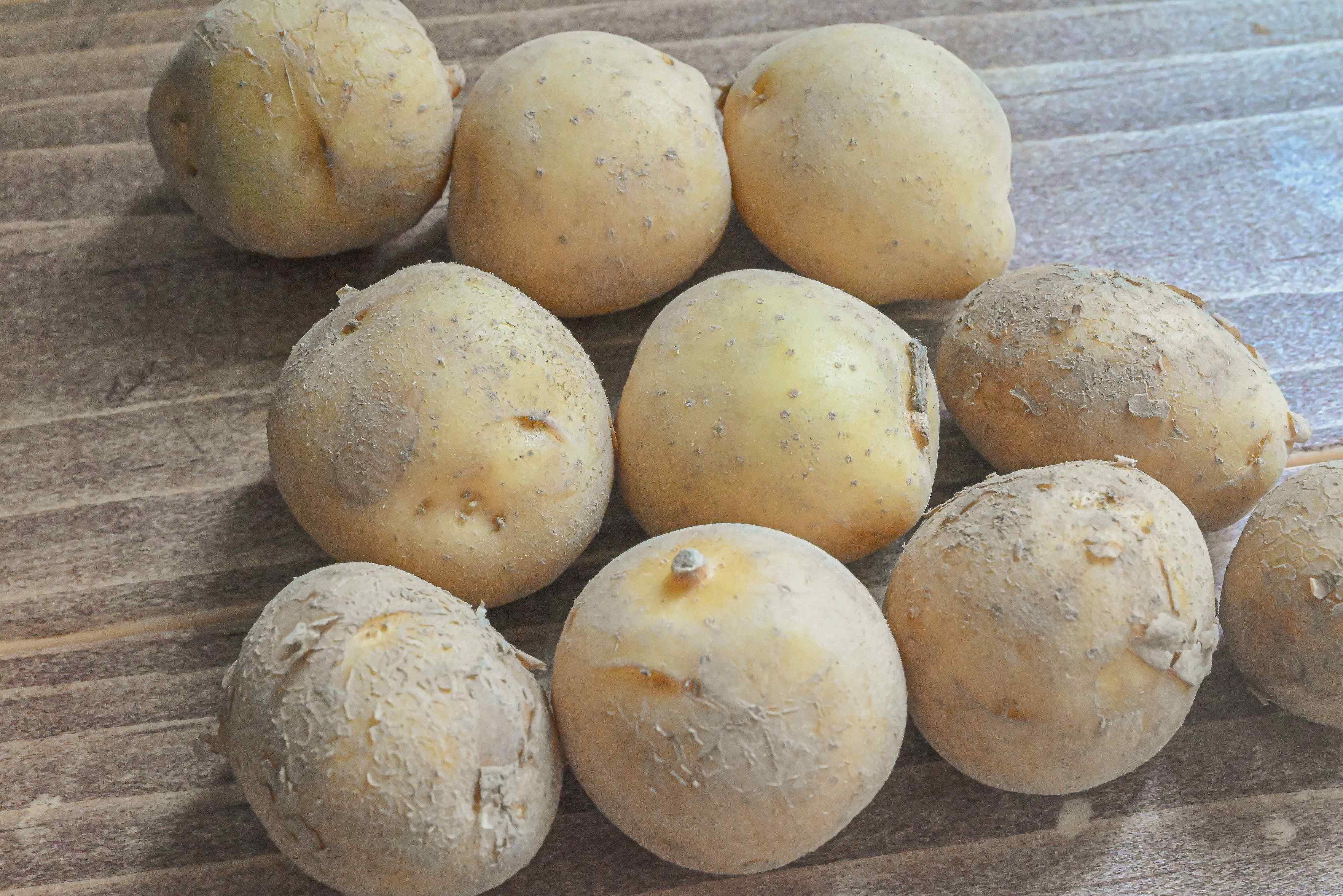 【旬食材】新じゃがいもの季節だ！おいしさを堪能♪新じゃがいもが主役の絶品レシピ3選