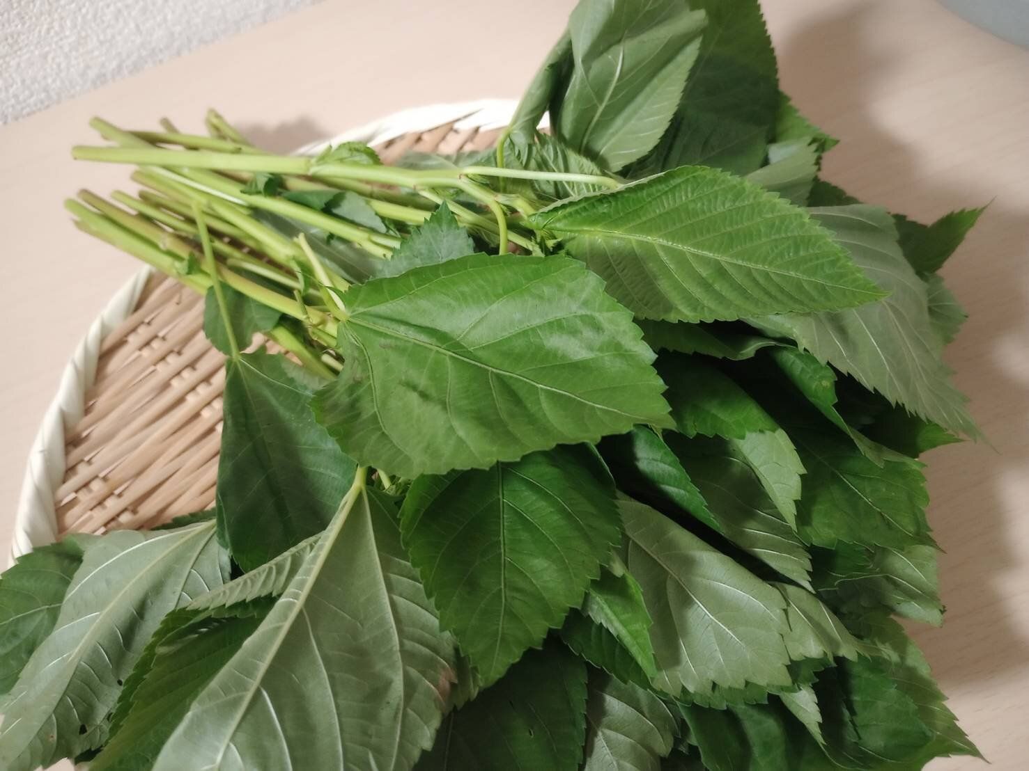 やらなきゃもったいない！美肌にうれしい旬のモロヘイヤで簡単にできる副菜を野菜ソムリエが解説