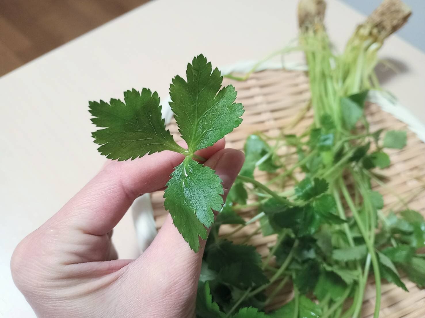 やらなきゃもったいない！パクチー苦手でも食べやすいエスニックおにぎりを野菜ソムリエが解説