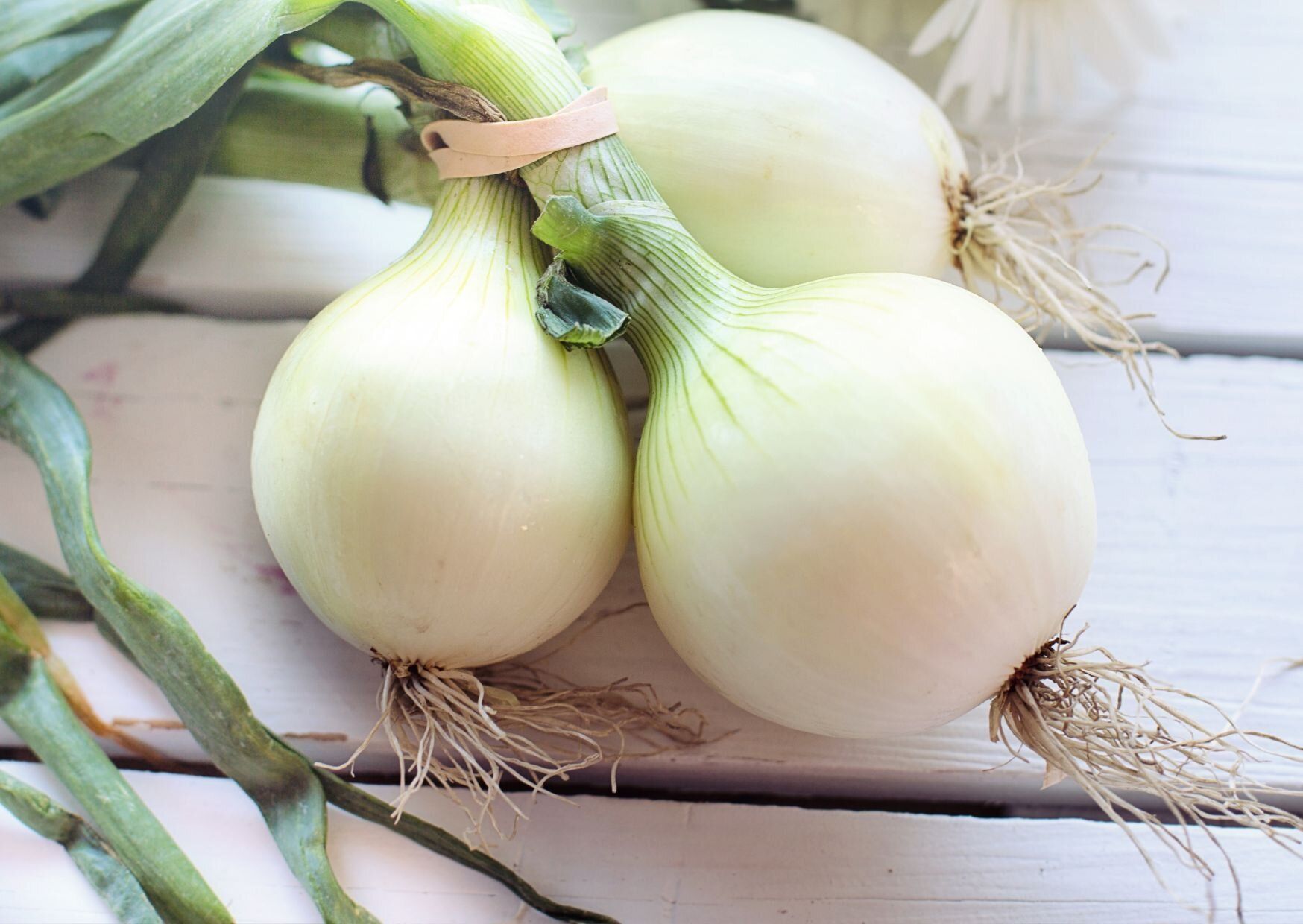 【旬食材】甘くてみずみずしい新玉ねぎを食べたい！失敗しないための選びかたを野菜ソムリエが解説