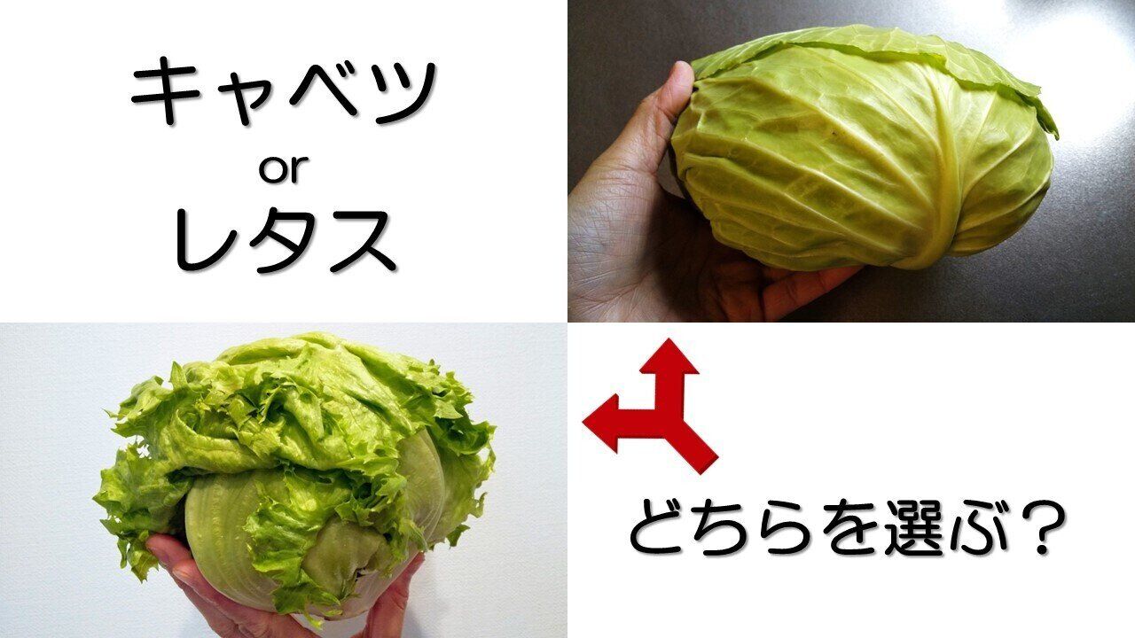 生でも加熱してもおいしい「キャベツ」と「レタス」、選ぶならどっち？目的別おすすめポイントをご紹介！