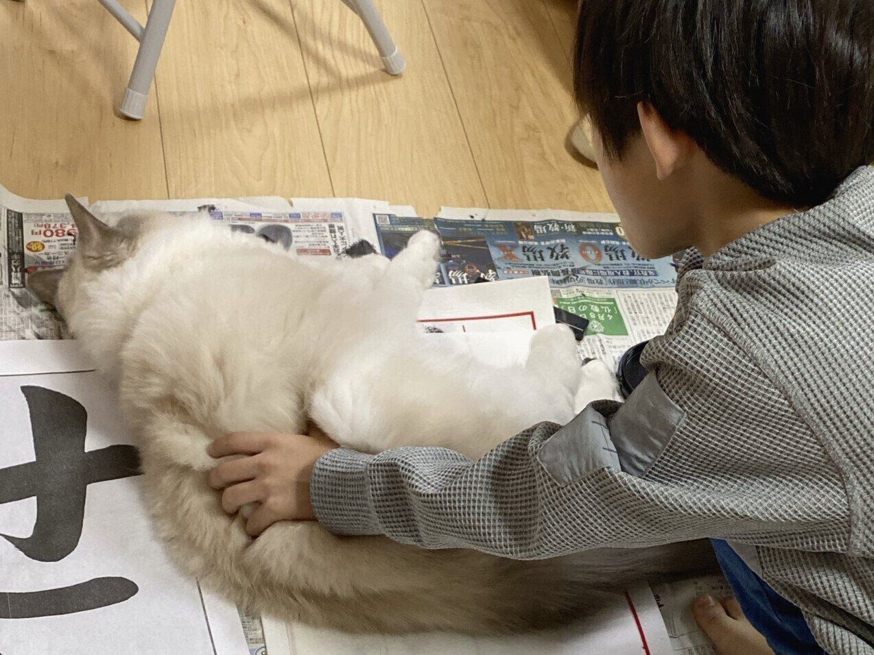 宿題をやり遂げたい小3息子と遊んでほしいネコちゃんの譲れない戦い！1.8万人が熱い勝負を見守る