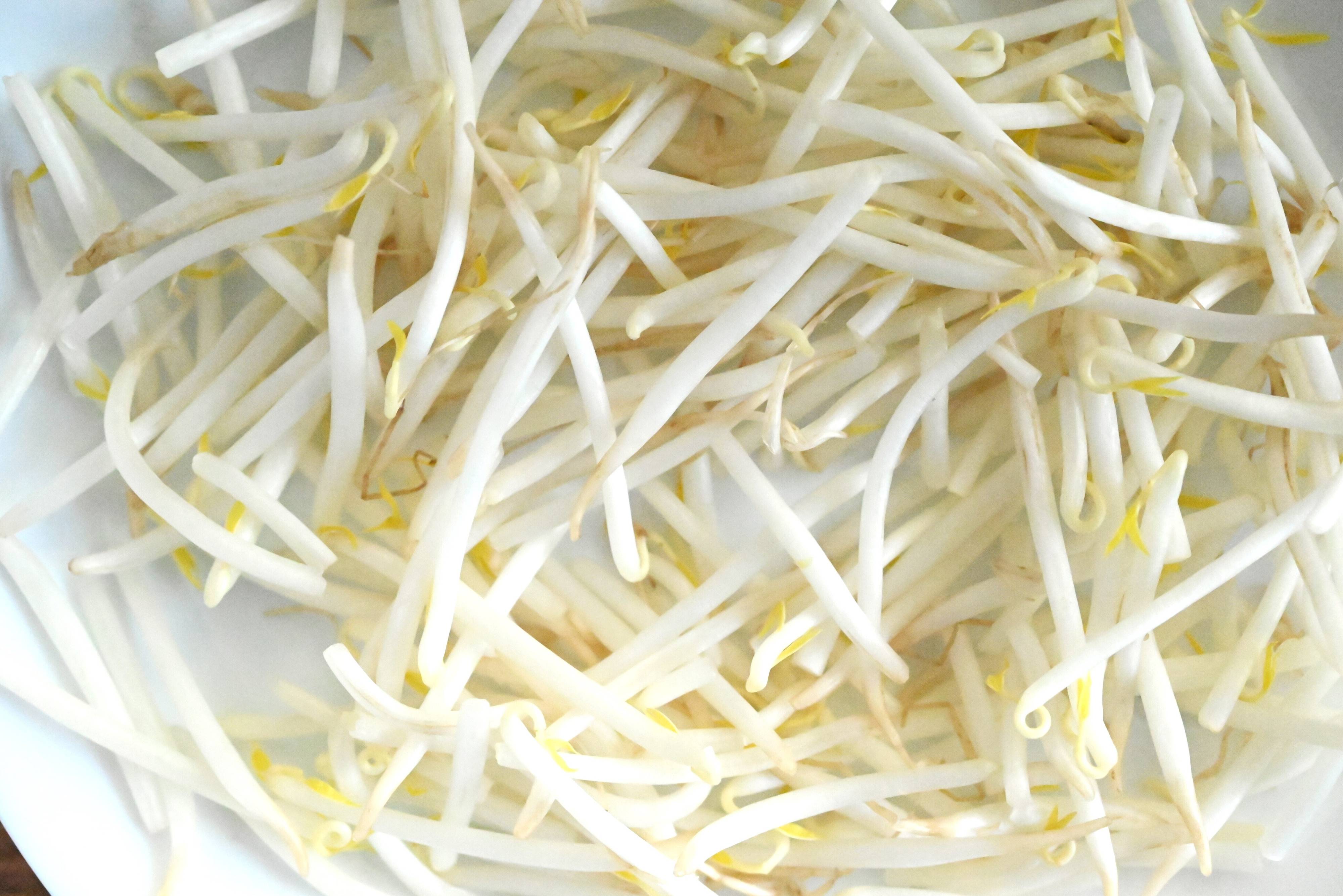 「もやし」は10秒の手間でシャキシャキ食感キープ！＆もやしがおいしい簡単レシピ3選