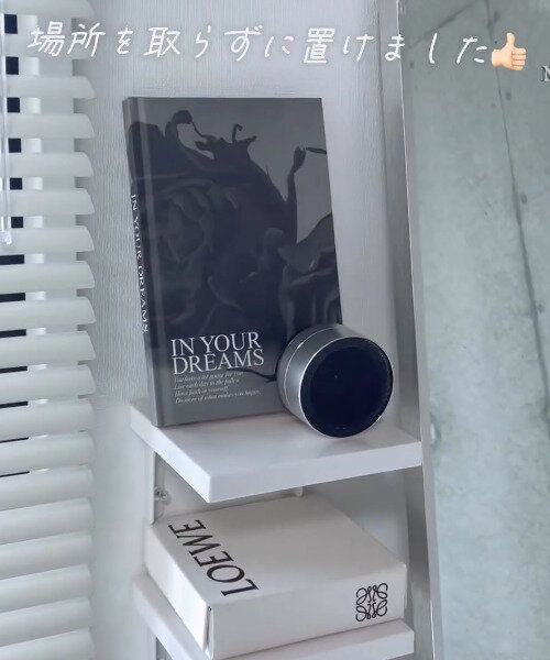 指名買いが止まらん【ダイソー】「スマートに管理しよ」「大満足の550円」ヒット3選