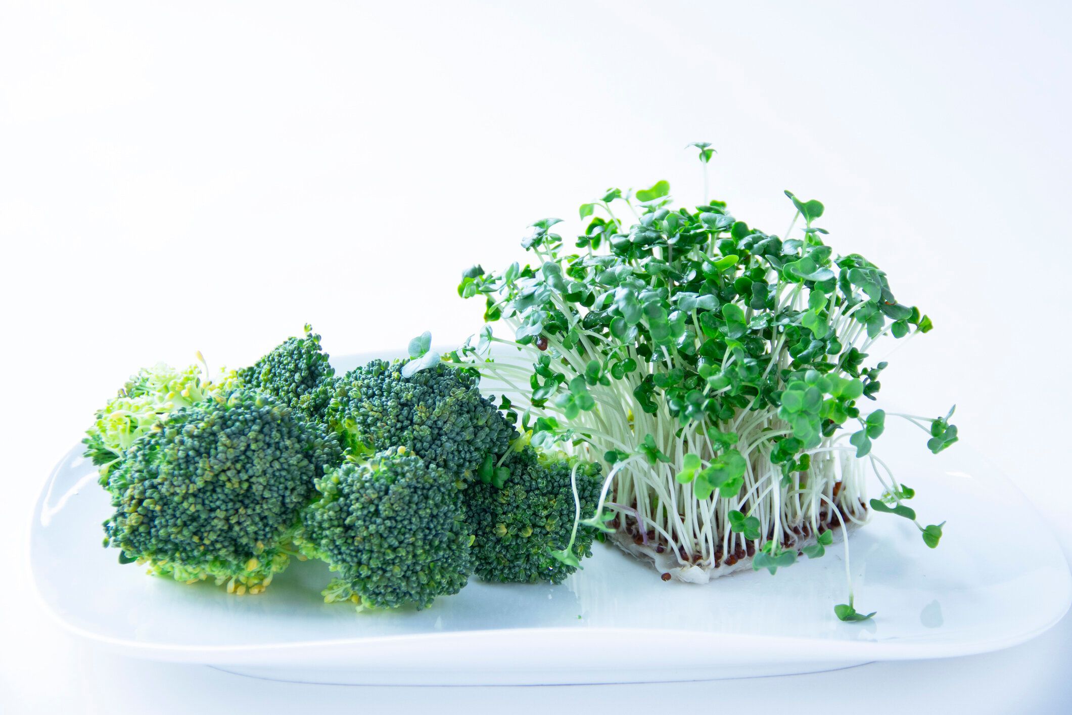 ブロッコリースプラウトの栄養と効果～話題のスルフォラファンとは？～