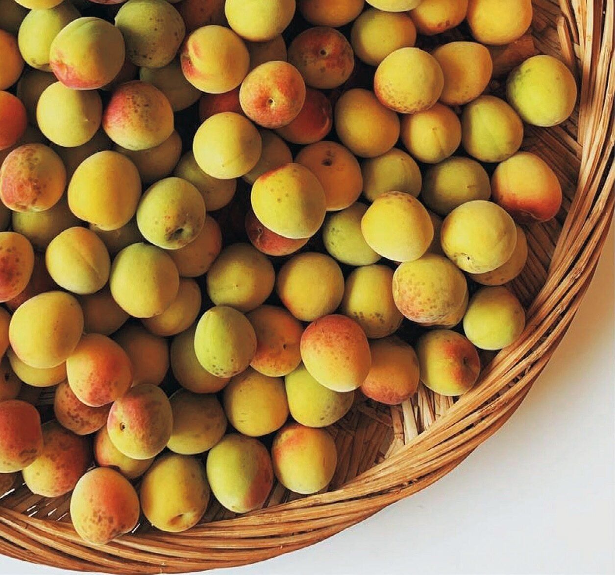 【一生ものにしてほしいレシピを大公開】きほんの梅酒のつくり方と「梅しごと」Q&A