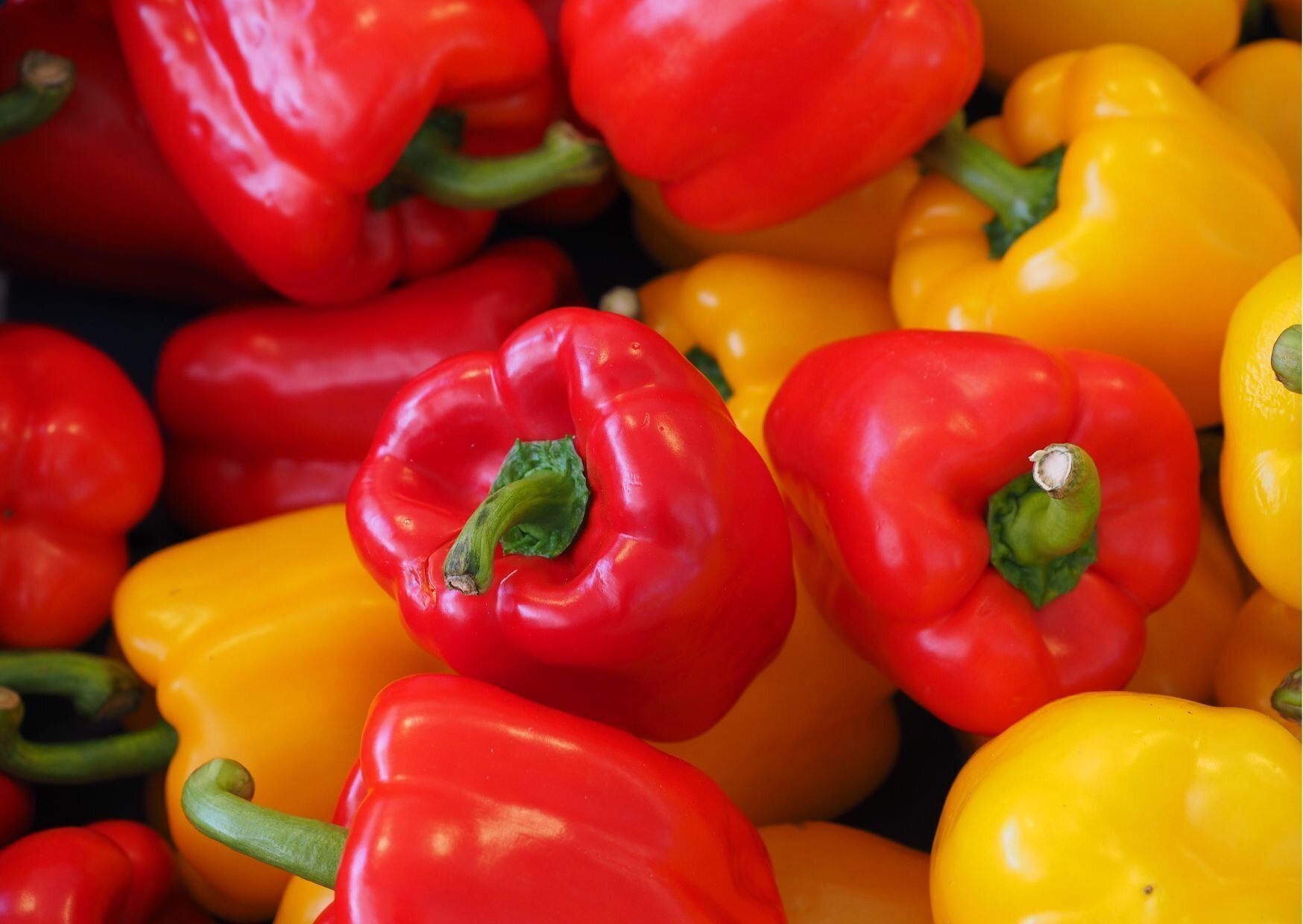 旬の国産パプリカを楽しもう！失敗せず選ぶにはどこに注目？野菜ソムリエが解説