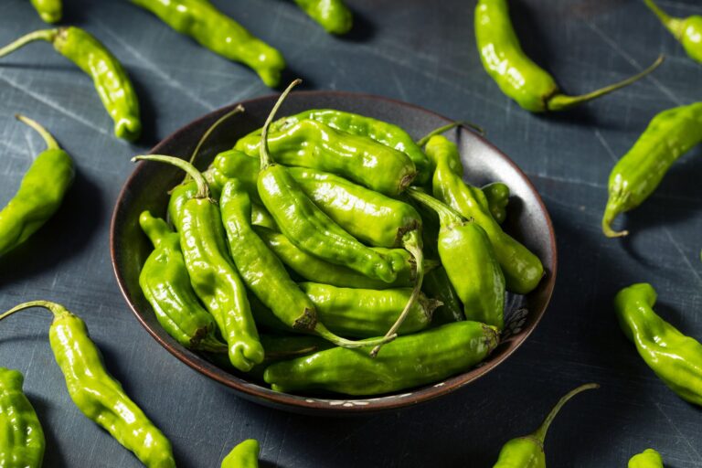 辛～い「ししとう」を避けるにはどうすればいい？野菜ソムリエが解説
