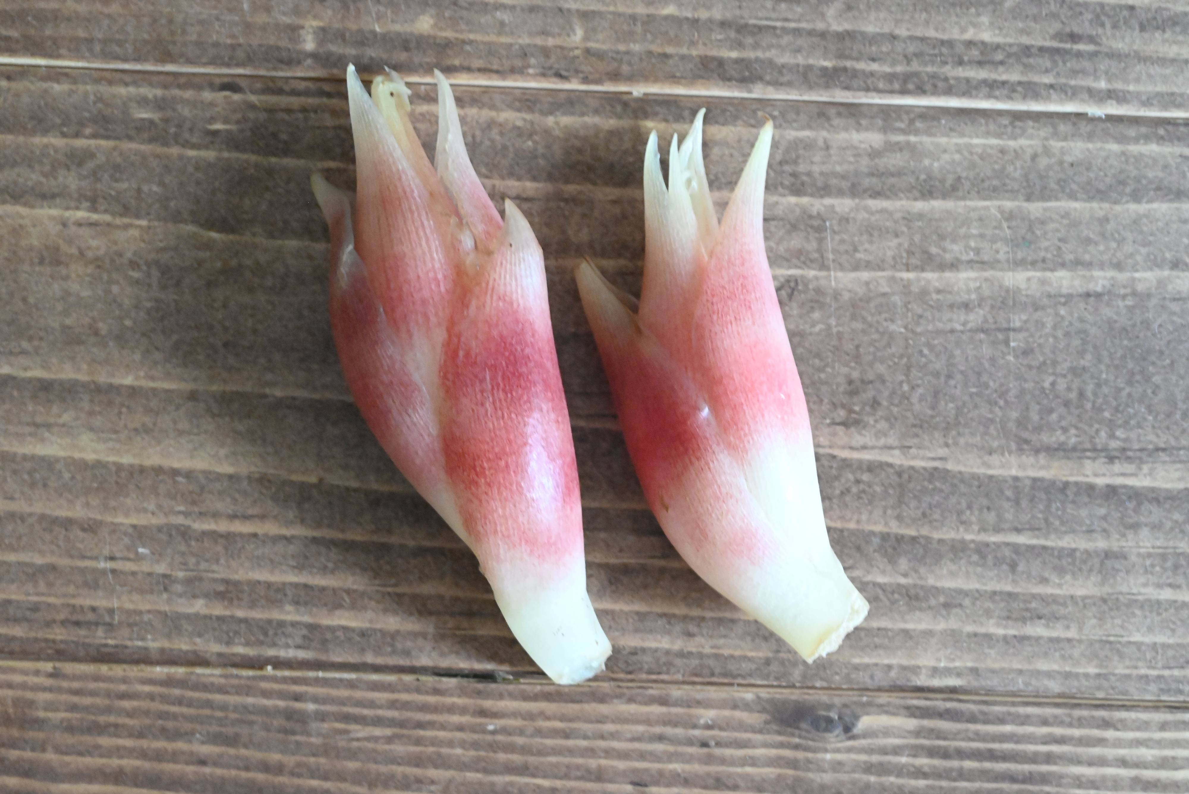 薬味が食べたくなる季節♪微妙に残った薬味をおいしく食べ切るおすすめレシピ3選