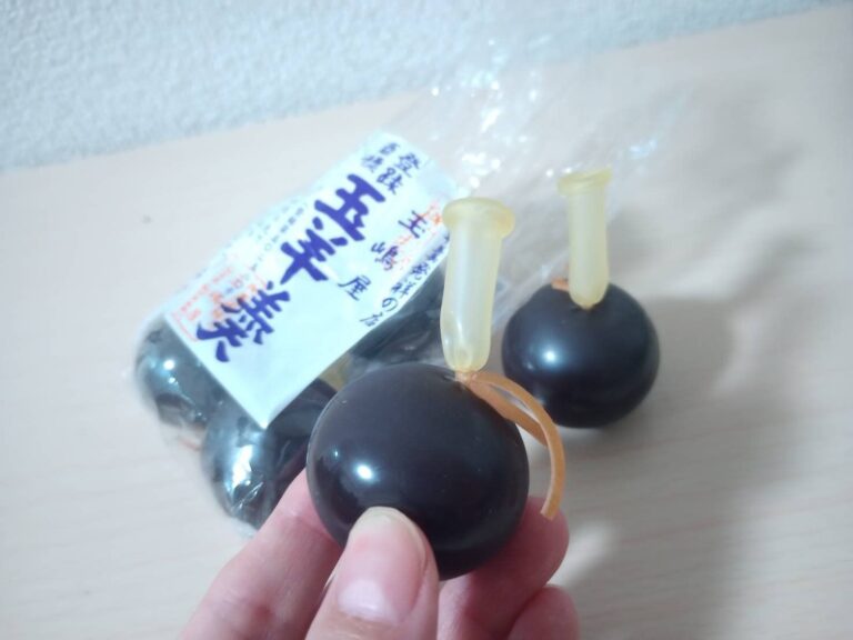 【おすすめお土産】爪楊枝で出す羊羹⁉プチッと楽しいまるでスーパーボールな「玉羊羹」（福島県）