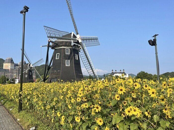 間違った節約で浪費に！予算を確保したら年100万円貯まるようになった項目