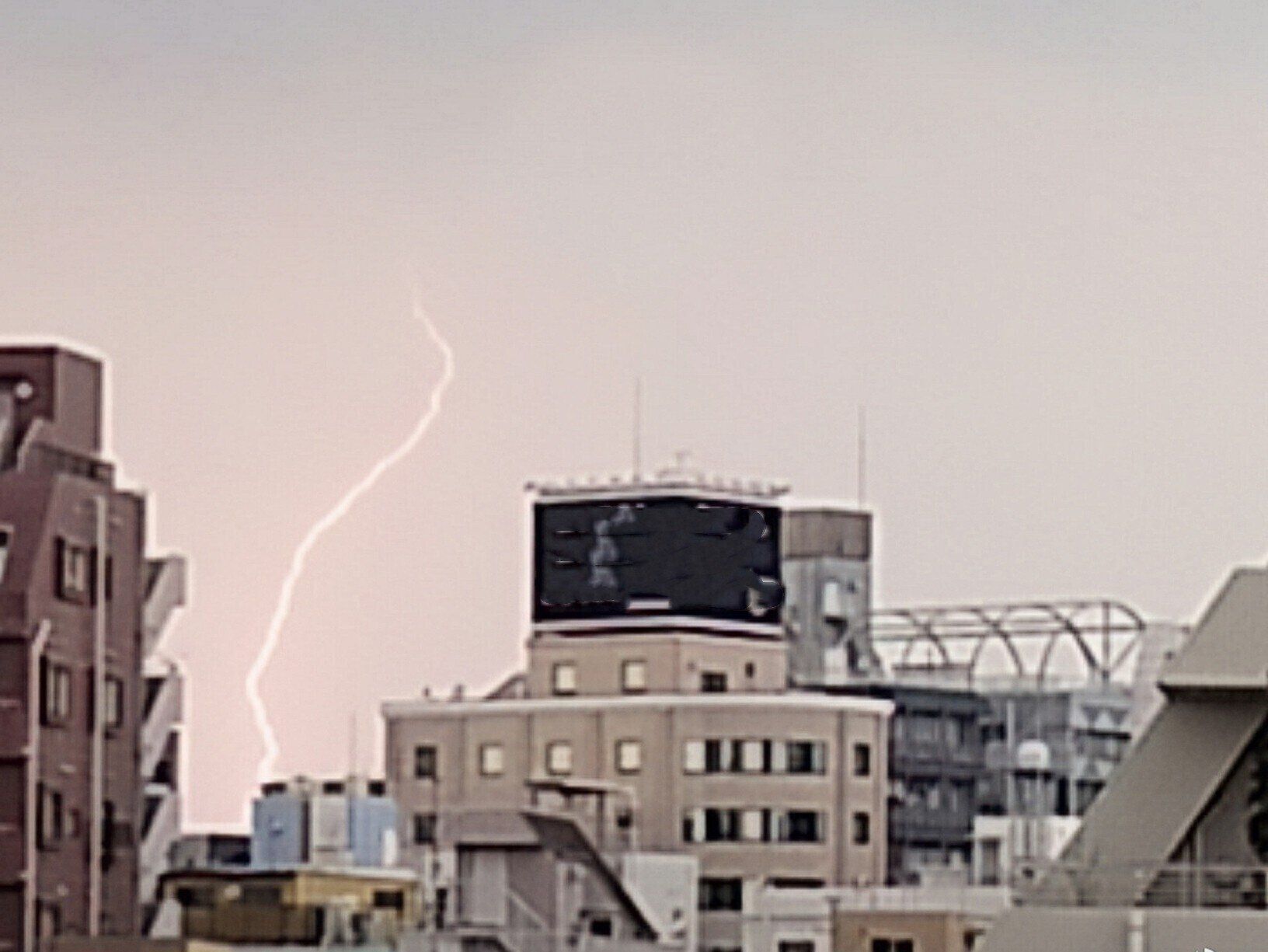 【予報士解説】木の下は安全？危険？身を守るために知っておきたい雷にまつわるウソ・ホント