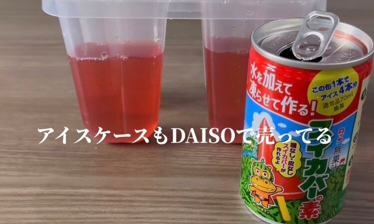 夏休みに最適！大人も子どもも楽しめる！【ダイソー】「めちゃ高見え」「大人でも楽しめる」おすすめ商品4選
