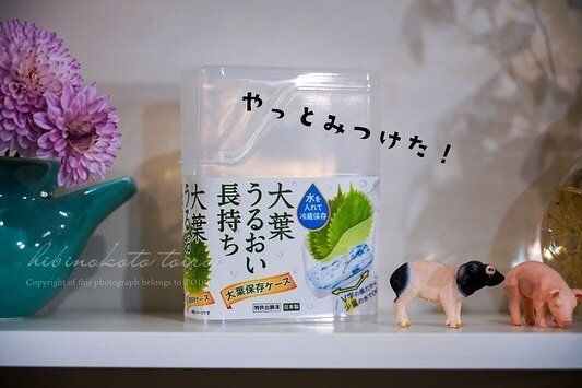 セリアさん天才なの!?【セリア】「5年ぶりにリピ買い」「ずっと探していた」買って損なしのアイデア商品4選