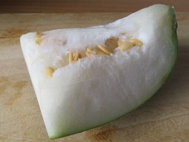 「冬」がつくけど夏が旬！とうがんがまさかのアロエ化するレシピ