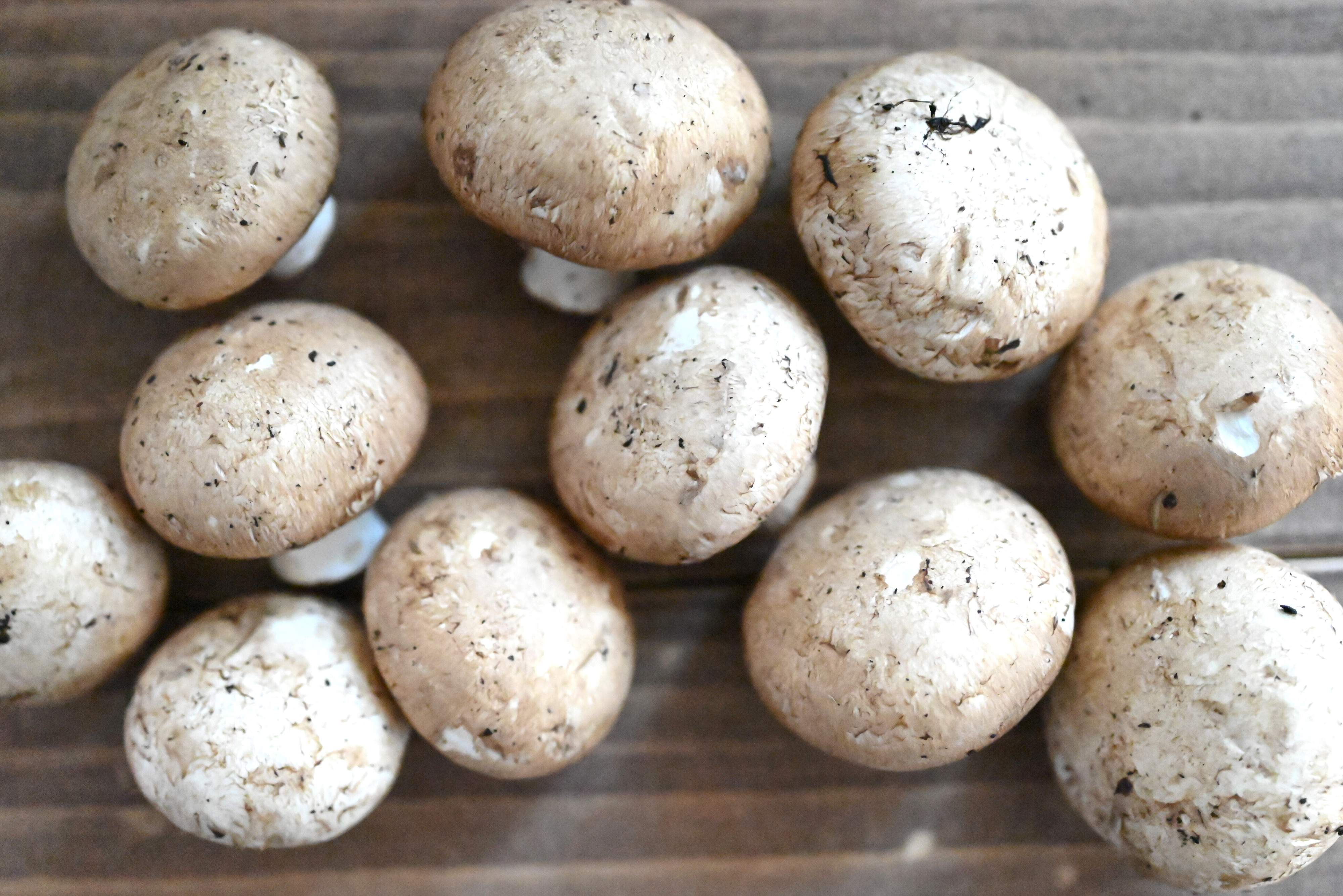 生でも食べられるって知っている？さまざまな味を楽しめるマッシュルームを取り入れて♪おすすめレシピ2選