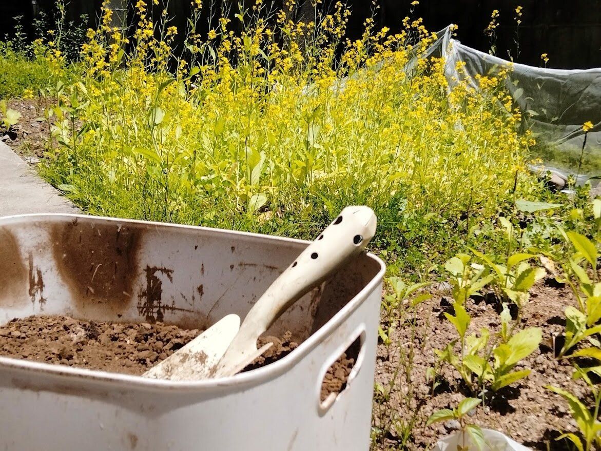 エコな暮らしは続いている？昨夏に始めた自家製生ごみ処理機「キエーロ」のその後