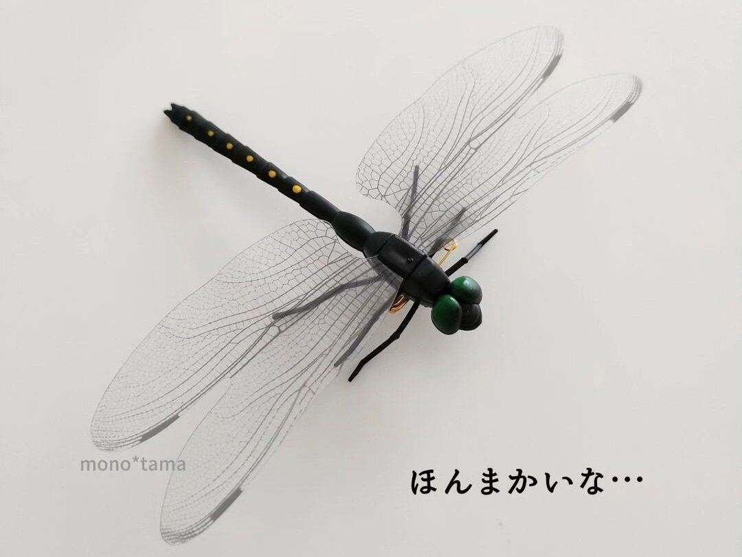 ほんまかいな…【ダイソー】「もう買った？」「機能的」お出かけにもおうちでも！おすすめアイテム5選