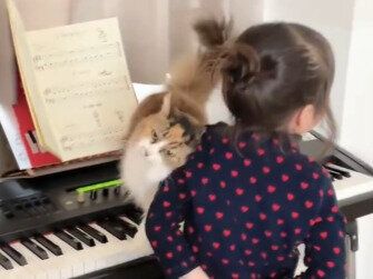ピアノが練習できない家!?楽譜の前に立ちはだかるネコちゃんが、5歳娘に癒やしたっぷりのスリスリ攻撃