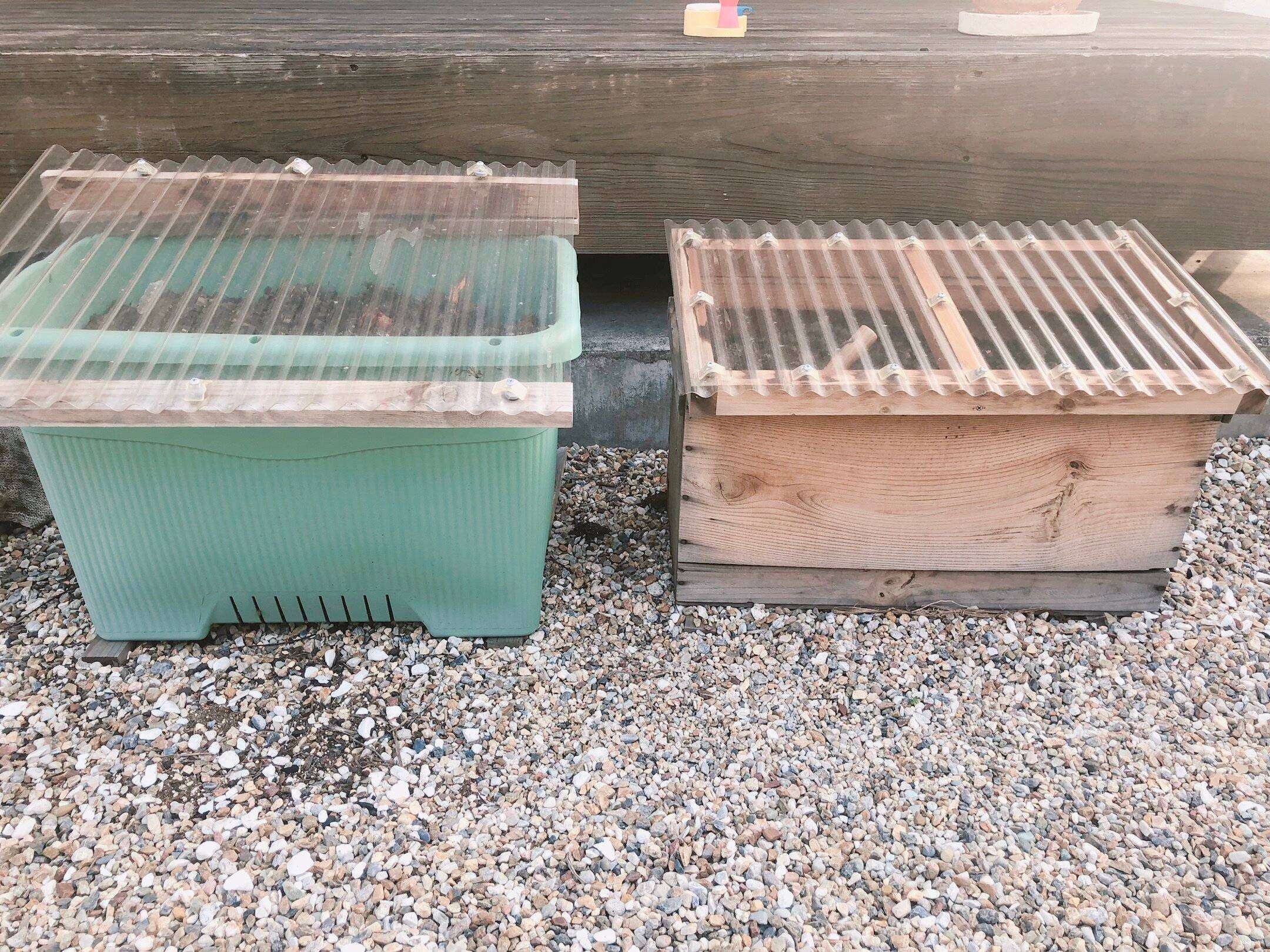 コンポストを始めるなら夏がおすすめ！理由３つ