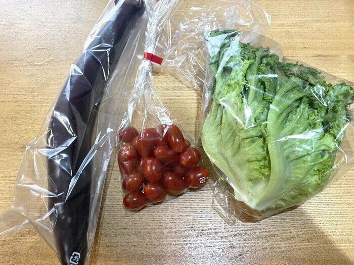 買い出し方法だけ！質素な食卓にはせず食費－2万円を達成