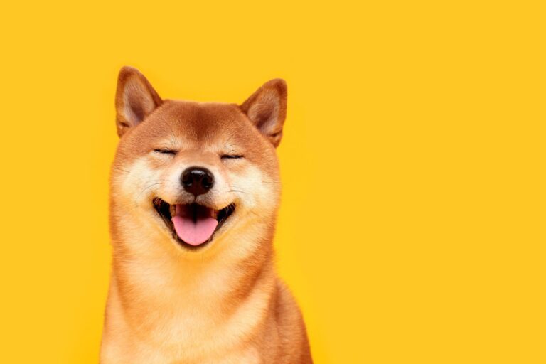 【夏の「ママ友トラブル」事件簿】仲良しママ友からの「預かり」がきっかけでとんでもない災いに巻き込まれて