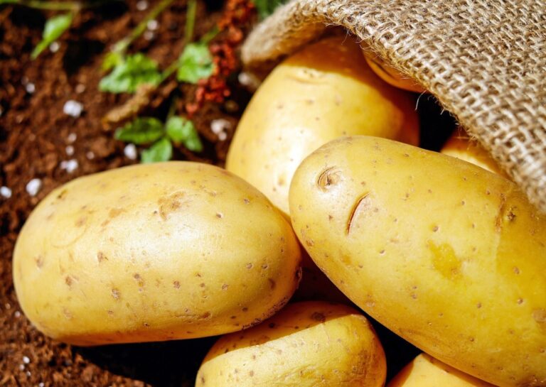 じゃがいもは冷凍できる！食感を悪くしないために必要なコツを野菜ソムリエが解説
