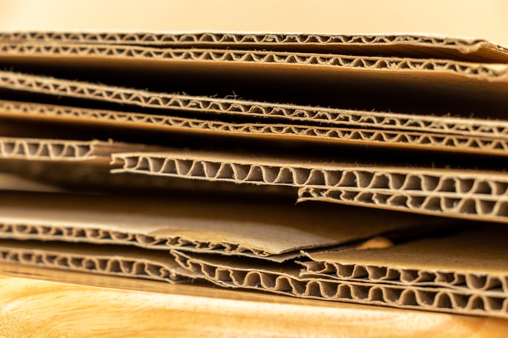 片づけ名人が家に溜めないように注意している3つのもの