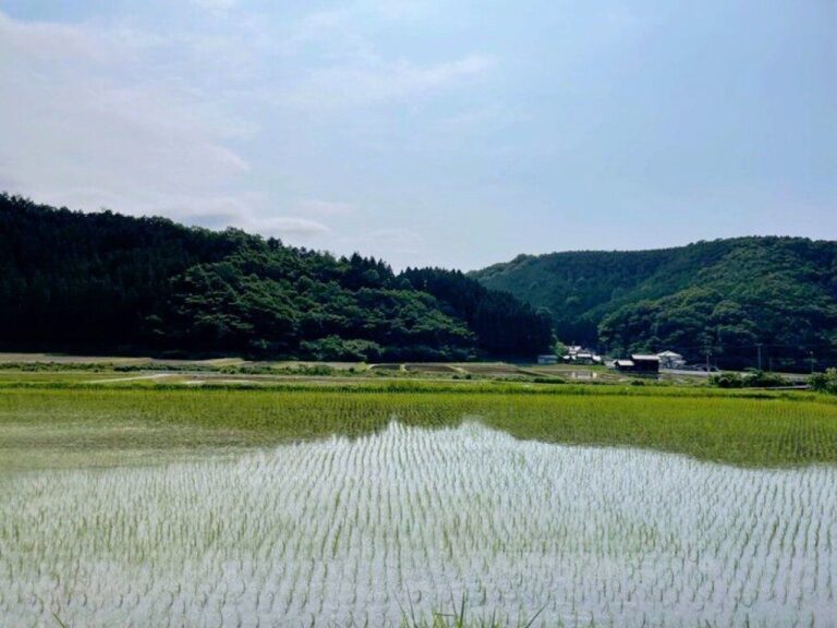 【田舎暮らし3年目】田舎でフリーランスってどうなの？あえて言うデメリット3選
