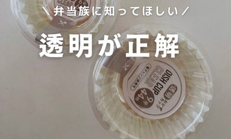 お弁当を作っているかた必見!!【セリア】「見栄えの差につながる」「ランドセルに忍ばせる」キッチンに置いておきたいアイテム4選