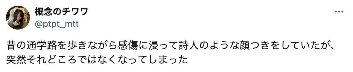 昔使っていた通学路で八百屋を発見。子どもの頃は気づかなかったその店は、野菜が破格の値段で手に入る穴場だった！
