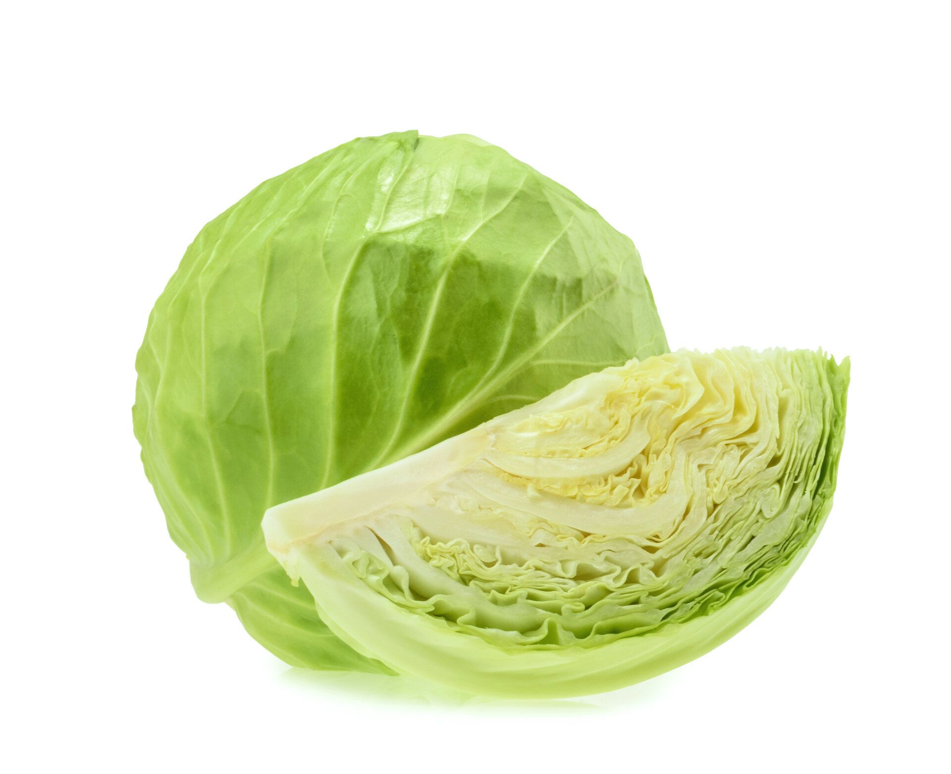 【野菜のプロ監修】「キャベツ」の保存方法は？正しい方法を知りおいしく使い切ろう！