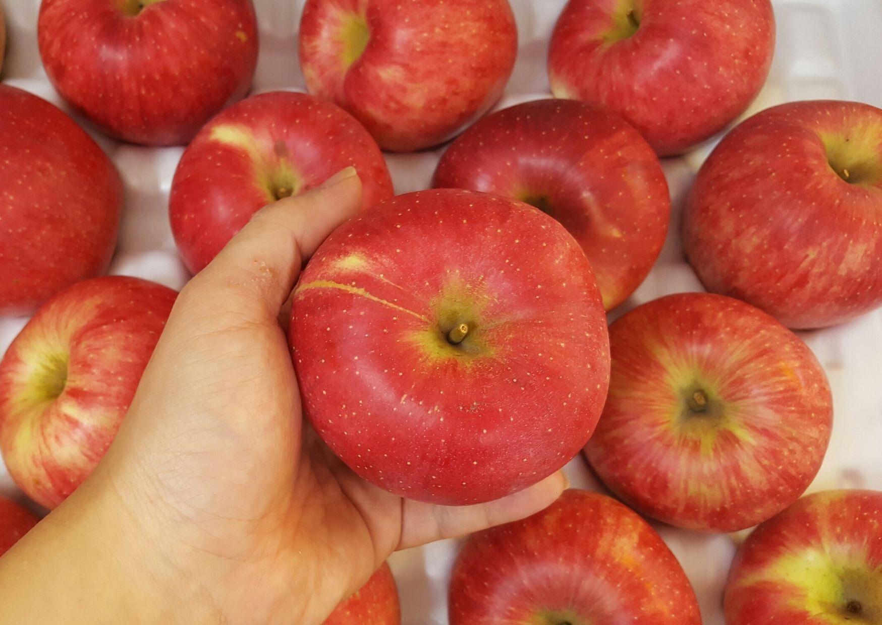 野菜のプロが解説！りんごをスーパーで買うときにおいしいものを見分けるコツとは？