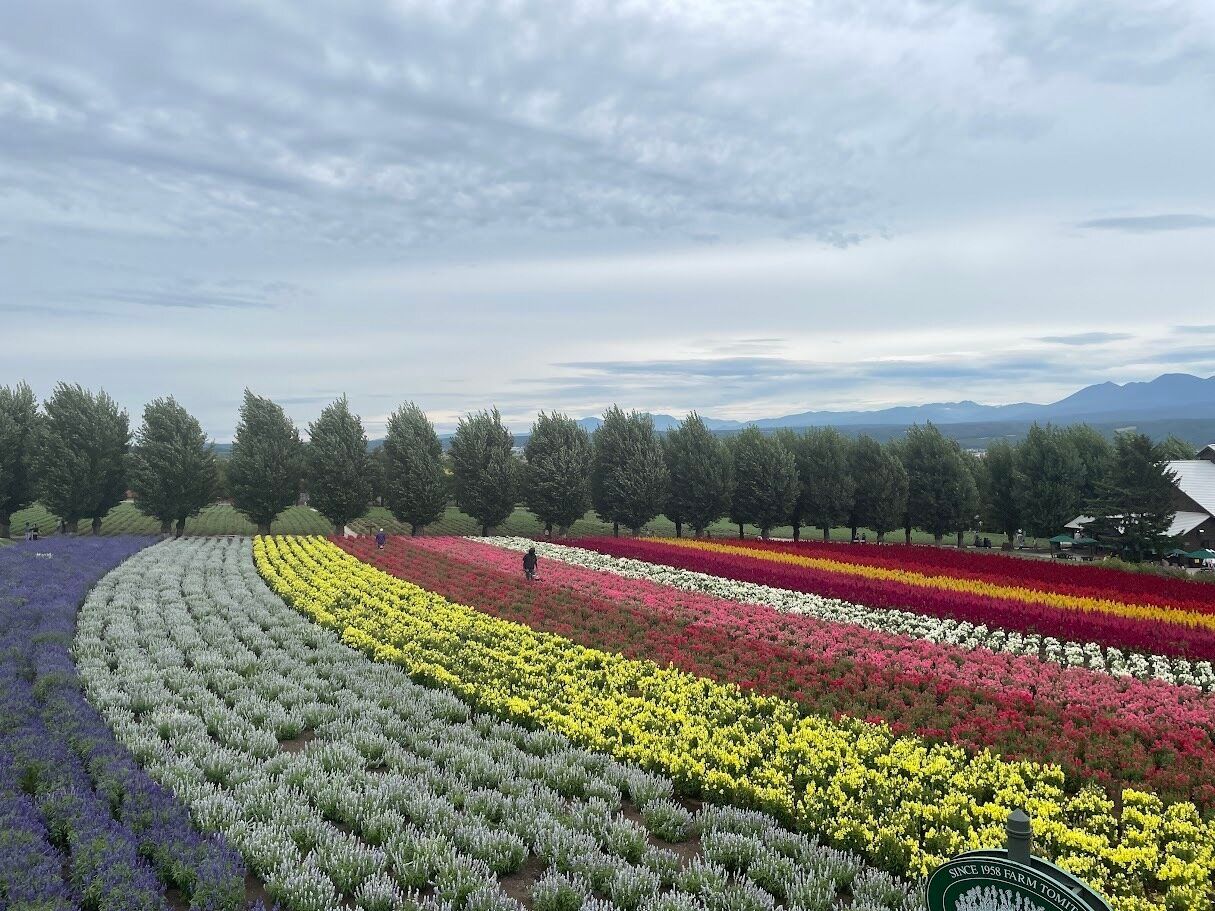 ５年ぶりに北海道の実家へ帰省！北海道のテレビにも出演してきました