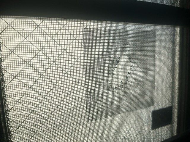 【キャンドゥ】まさにこれが欲しかった！これで問題解決。網戸補修シートがすごすぎる。