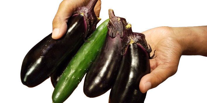 「なす＆きゅうり」、食べ飽きたらつくってみて！ペロリと食べられるごはんにも合う味噌仕立てのレシピをご紹介