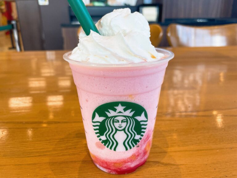 【2024最新】スターバックス新作メニューまとめ！人気のフラペチーノも紹介